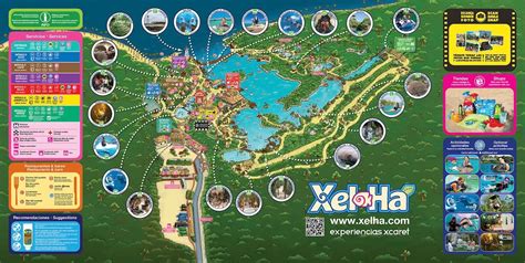 Xel-Ha Tour || Your Complete Guide to Activities & Prices