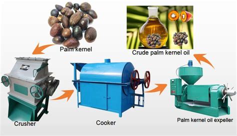 Small scale palm kernel oil extraction machine | Palm kernel oil, Palm ...