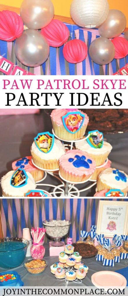 Throw a Paw Patrol Skye Birthday Party for Girls!