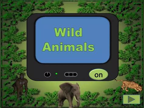 PPT - Wild Animals PowerPoint Presentation, free download - ID:2664374