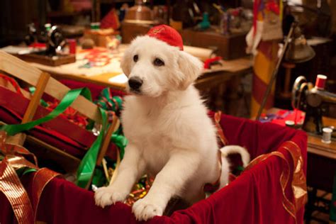 Santa Paws 2: The Santa Pups movie gallery | Movie stills and pictures