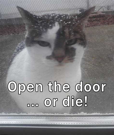 Open the door - Meme Guy