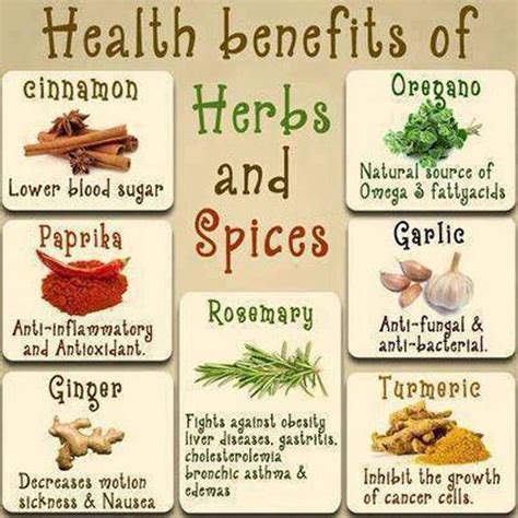 Herbs and spices | Cinnamon benefits, Cinnamon health benefits, Herbs & spices