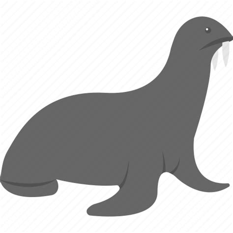 Animal, common seal, harbor seal, seal, true seal icon