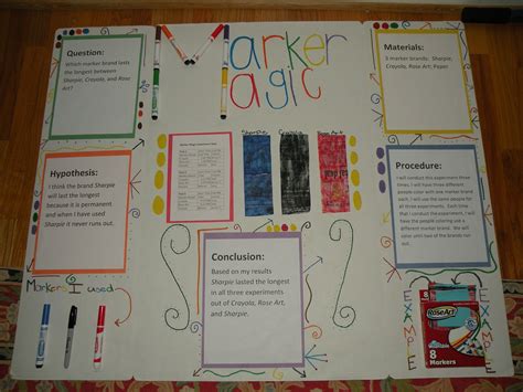 My Hypothesis | Science fair projects, Science fair, Science projects