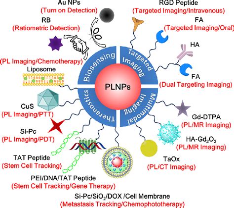 Engineering strategies of PLNPs for biological applications in our group. | Download Scientific ...