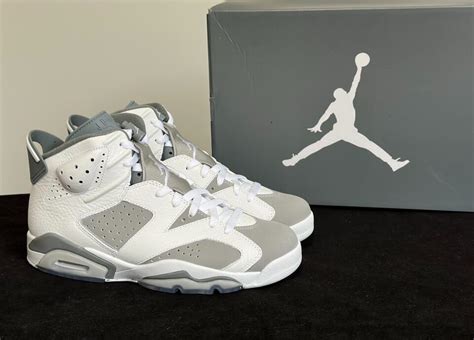 Air Jordan 6 Retro Cool Grey - SneakerOwner