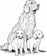 Dog Coloring Pages For Adults  Best Kids sketch template