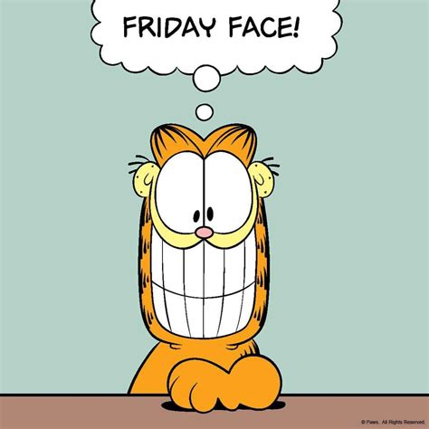 Garfield Friday face | Friday quotes funny, Its friday quotes, Friday humor