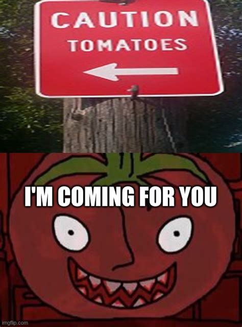 Mr Tomato - Imgflip