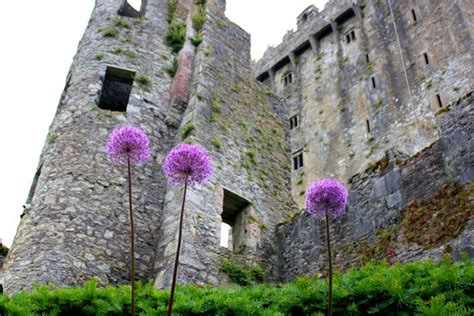 The Blarney Castle in Ireland - Is it worth visiting?