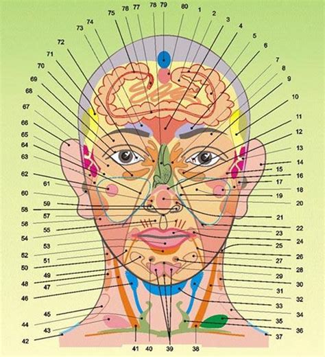 Acupuncture points from headache, tooth scheme |Health of your head