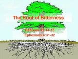 THE ROOT OF BITTERNESS 11-05-21