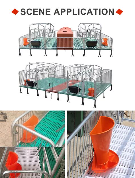 Plastic Piglet Feeder Pig Farm Feeder System for Sow Farrowing Crate ...