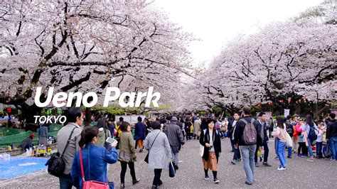 Ueno Park, Tokyo | Japan Travel Guide - YouTube