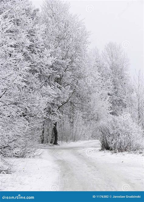 Cold winter scenery stock photo. Image of beautiful, scene - 1176382