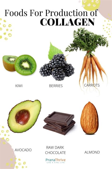 Foods to increase Collagen production | pranathrive.com | Collagen boosting foods, Health and ...