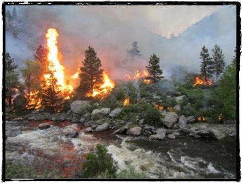 Wildfires in the West Panel Discussion | Colorado Forest Restoration ...