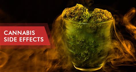 Marijuana Side Effects: Short- And Long-Term Reactions