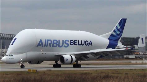 Super Transporter Airbus A300-600 Beluga Landing and Takeoff at Airbus ...