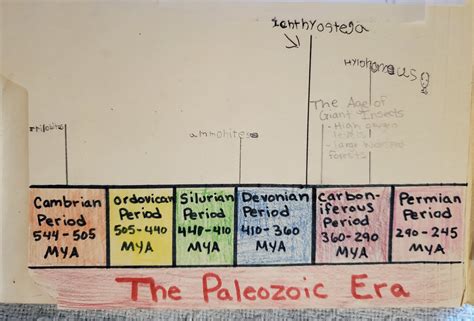 Paleozoic Era Timeline