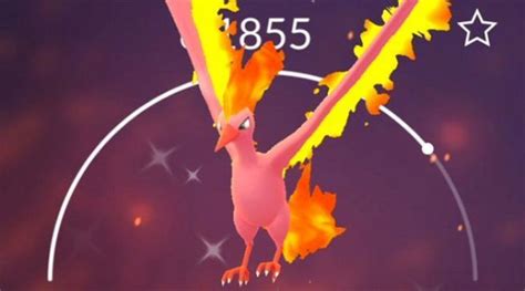 Pokemon GO: How to Get Shiny Moltres