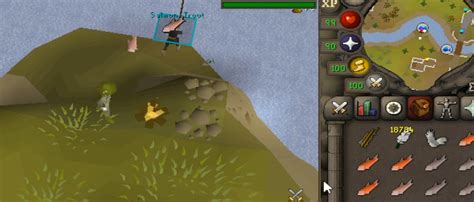 OSRS Fly Fishing Guide - NovaMMO