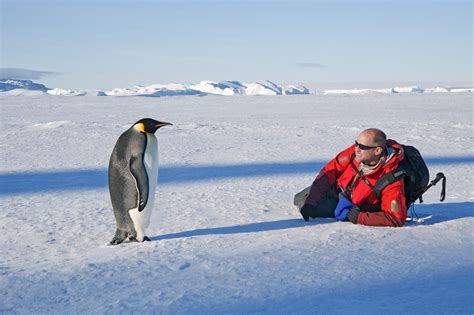 Tourism in Antarctica