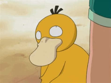 Reaction Images: Trending Images Gallery | Psyduck, Pokemon gif, Pokemon funny