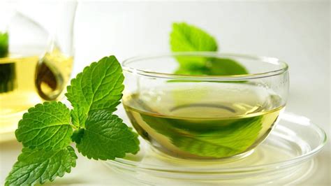 teh-daun-mint - Wiki Kombucha