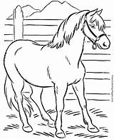 Coloring Book pages Of horses  011 sketch template