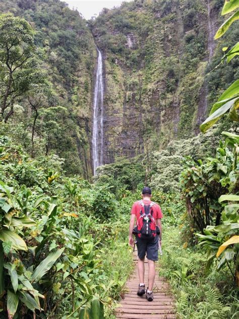 Hike the Pipiwai Trail to Breathtaking Waimoku Falls – HomeyHawaii