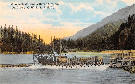 Fish wheels a legacy of Columbia’s salmon days | Offbeat Oregon History ...