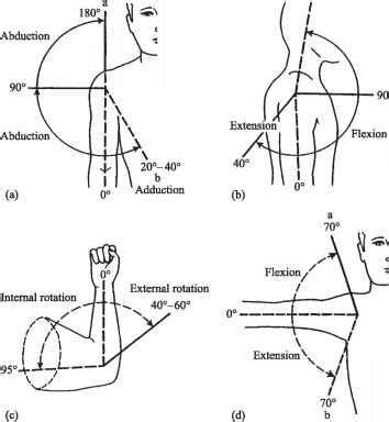 Pin on Anatomy