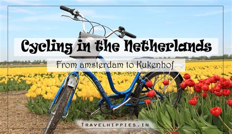 Cycling From Amsterdam to the Tulip Fields in Holland