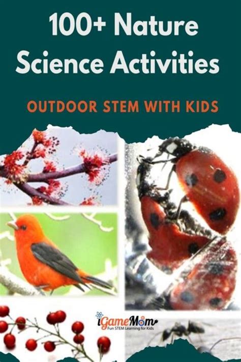 100 Nature Science Activities for Kids