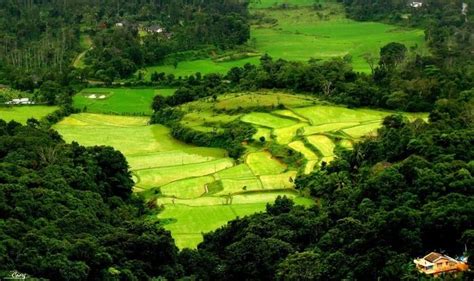 13 Tourist Places to Visit in Coorg | Travel Triangle