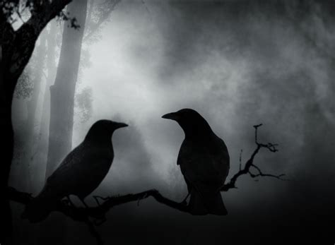 Dark Crow by Vickie666 on DeviantArt