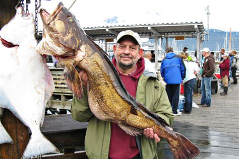 Kasilof River Salmon Trips - Alaskan Halibut, Ling Cod, Silver Salmon Fishing Trip - July Bucket ...