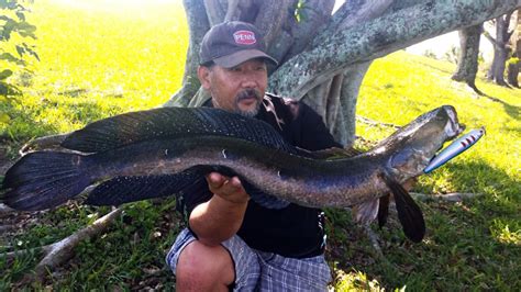 How the Snakehead Earned a Spot on Freshwater Bucket Lists - SheFishes2