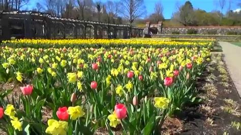 Biltmore Estate Spring Blooms - YouTube