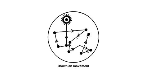 Draw diagram to show the movement of a particle during Brownian movement.