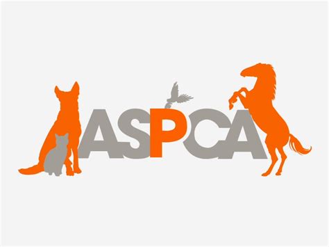 ASPCA Logo Animation by Allie on Dribbble