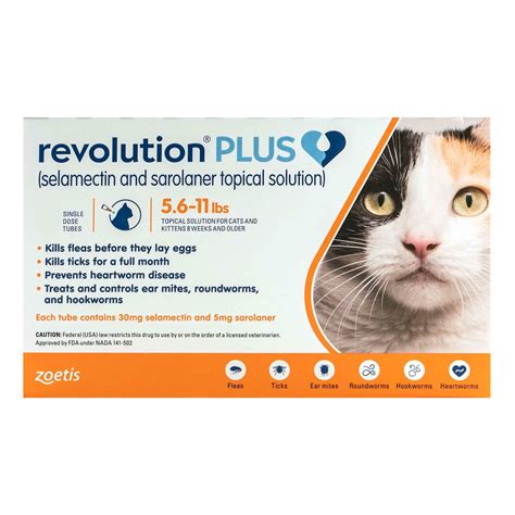 Revolution For Cats 6 Pack - Cat Meme Stock Pictures and Photos