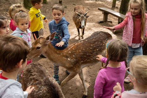 10 best petting zoos, wildlife parks and interactive farms in and around Budapest