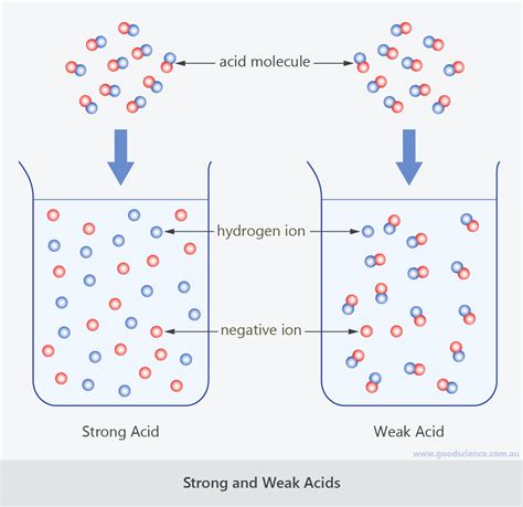 Strong Weak Acid Base Chart: A Visual Reference of Charts | Chart Master