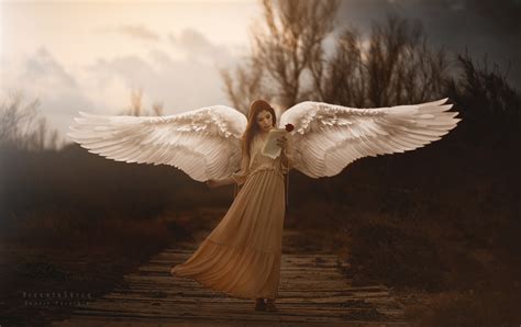 Beautiful Angel Wings Wallpaper