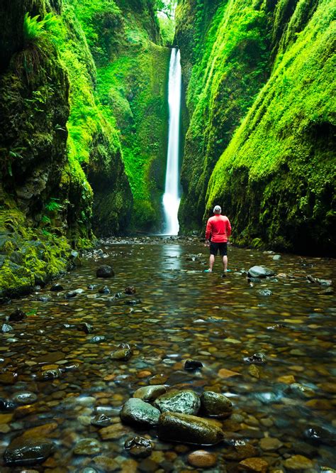 The famous Oneonta Gorge Trail | The Oneonta Gorge Trail Col… | Flickr