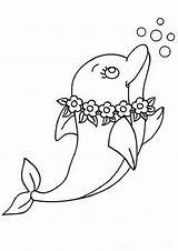 Cute Baby Dolphin Coloring Pages sketch template