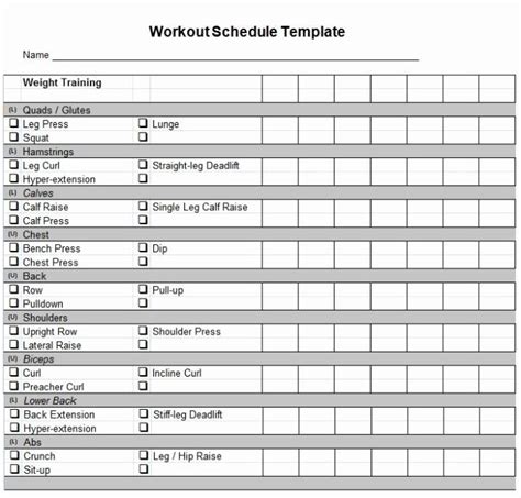 Personal Trainer Workout Plan Template Inspirational Daily Workout ...